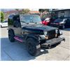 Image 2 : JEEP  WRANGLER 1995 T-2 DAYS