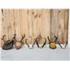 Image 1 : 6 Sets Of Pronghorn Antelope Horns Taxidermy