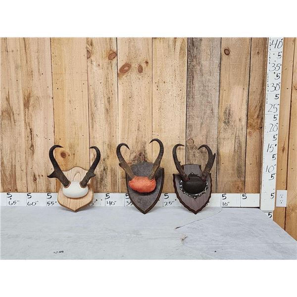 3 Sets Of Pronghorn Antelope Horns On Plaques