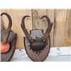 Image 2 : 3 Sets Of Pronghorn Antelope Horns On Plaques