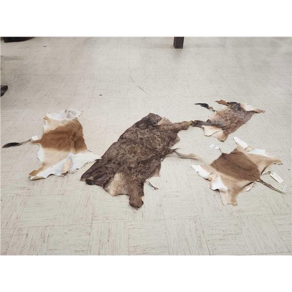 4 Tanned African Back Hides Taxidermy