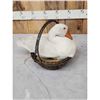 Image 4 : White Chinese Goose In A Basket Full Body Bird Taxidermy