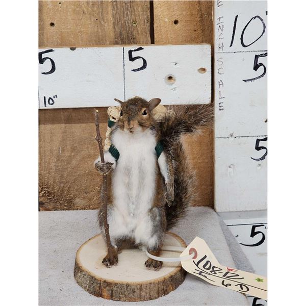 Backpacking Squirrel Full Body Taxidermy Mount