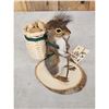Image 2 : Backpacking Squirrel Full Body Taxidermy Mount