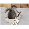 Image 3 : Squirrel In A Birch Bark Canoe Taxidermy