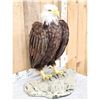Image 4 : 100% Reproduction Bald Eagle Full Body Bird Taxidermy