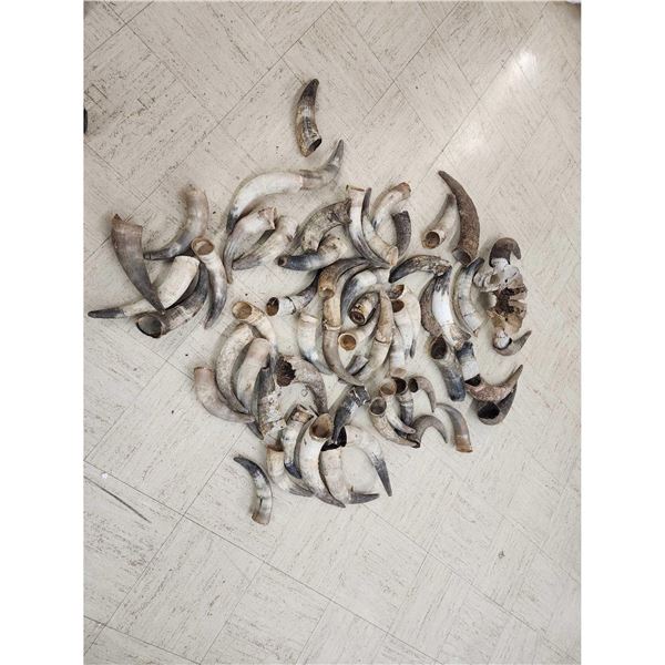 Bison & Cattle Horn Caps Lot