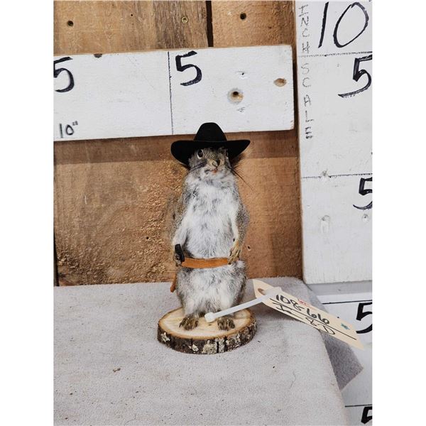 Sheriff Squirrel Full Body Taxidermy Mount
