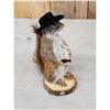 Image 2 : Sheriff Squirrel Full Body Taxidermy Mount
