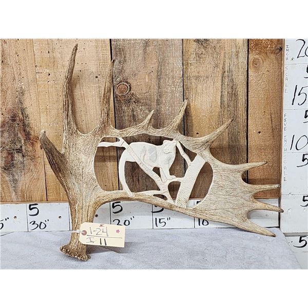 Hand Carved Mountain Lion In Moose Antler