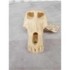 Image 7 : African Chakma Baboon Skull On Plaque Taxidermy