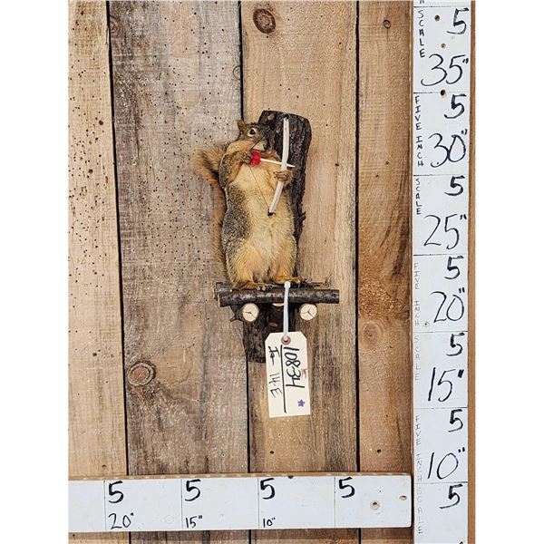 Bow Hunting Squirrel In A Tree Stand Taxidermy