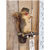 Image 2 : Bow Hunting Squirrel In A Tree Stand Taxidermy