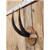 Image 2 : African Roan Antelope Horns On Plaque