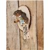 Image 2 : Naughty Squirrel Taxidermy Mount