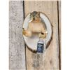 Image 2 : Naughty Squirrel Taxidermy Mount
