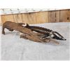 Image 5 : 32" Sturgeon Real Skin Fish Taxidermy