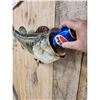 Image 5 : 24" Largemouth Bass Real Skin Fish Taxidermy