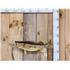 Image 1 : 26" Walleye Real Skin Fish Taxidermy