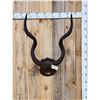 Image 1 : African Kudu Horns On Plaque Taxidermy