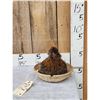 Image 1 : Chicken In A Basket Full Body Bird Taxidermy