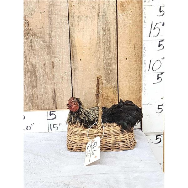 Chicken In A Basket Full Body Bird Taxidermy