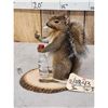 Image 3 : Naughty Squirrel Full Body Taxidermy Mount