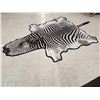 Image 3 : Plains Zebra Rug Taxidermy
