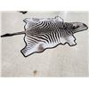 Image 5 : Plains Zebra Rug Taxidermy