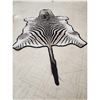 Image 7 : Plains Zebra Rug Taxidermy