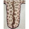 Image 2 : Big Giraffe Rug Taxidermy