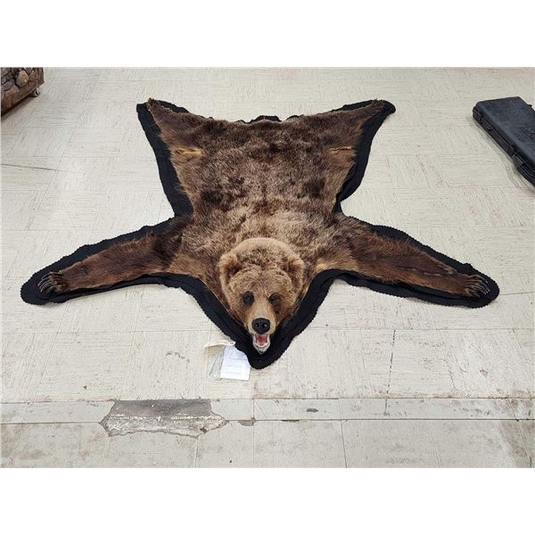 Alaskan Grizzly Bear Rug Taxidermy