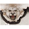 Image 8 : Mountain Lion Cougar Rug Taxidermy