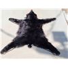 Image 5 : Nice Little Black Bear Rug Taxidermy