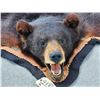 Image 2 : Black Bear Rug Taxidermy