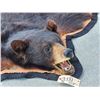 Image 3 : Black Bear Rug Taxidermy