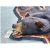 Image 4 : Black Bear Rug Taxidermy