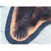 Image 6 : Black Bear Rug Taxidermy