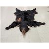 Image 1 : Black Bear Rug Taxidermy
