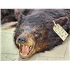 Image 7 : Black Bear Rug Taxidermy