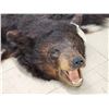 Image 9 : Black Bear Rug Taxidermy