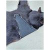 Image 8 : Black Bear Rug Taxidermy