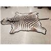 Image 3 : African Plains Zebra Rug Taxidermy