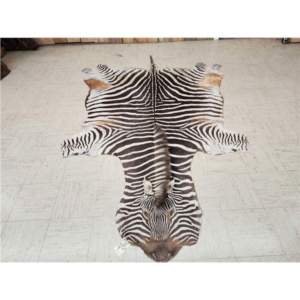 African Plains Zebra Soft Tanned Skin