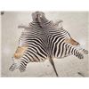 Image 3 : African Plains Zebra Soft Tanned Skin