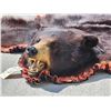 Image 2 : Big Black Bear Rug Taxidermy