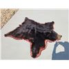 Image 5 : Big Black Bear Rug Taxidermy