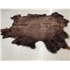 Image 4 : American Bison Buffalo Soft Tanned Robe Taxidermy
