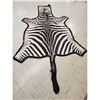 Image 2 : African Plains Zebra Rug Taxidermy