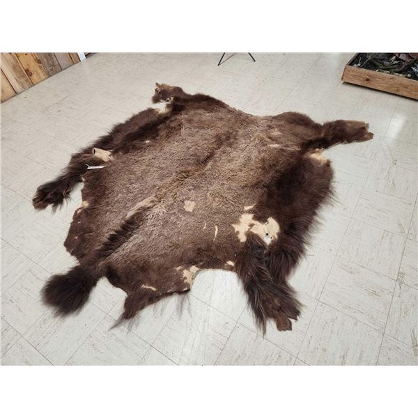 American Bison Buffalo Soft Tanned Robe Taxidermy
